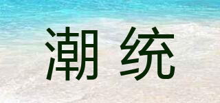 潮统品牌logo