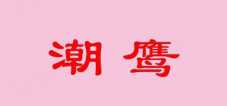 TIDE EAGLE/潮鹰品牌logo