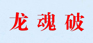龙魂破品牌logo