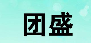 团盛品牌logo