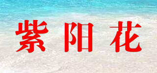 HYDRANGEA/紫阳花品牌logo