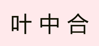 叶中合品牌logo