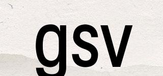 gsv品牌logo