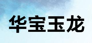 华宝玉龙品牌logo