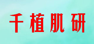 千植肌研品牌logo