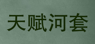 天赋河套品牌logo