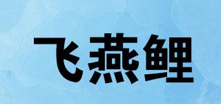 飞燕鲤品牌logo