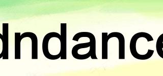 dndance品牌logo