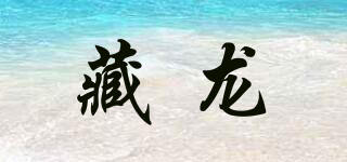 藏龙品牌logo
