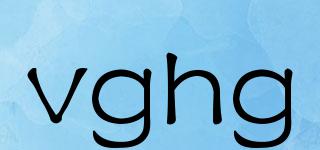 vghg品牌logo