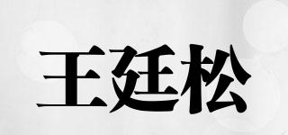 WATISO/王廷松品牌logo
