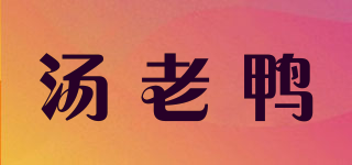 汤老鸭品牌logo