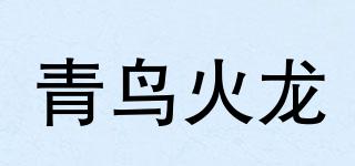 青鸟火龙品牌logo