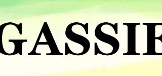 GASSIE品牌logo