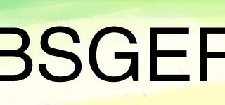BSGER品牌logo