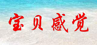 宝贝感觉品牌logo