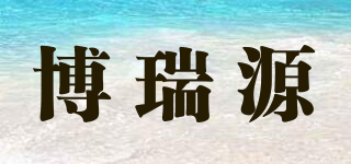BORIYUAN/博瑞源品牌logo