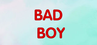 BAD BOY品牌logo