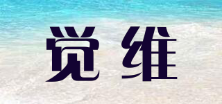 觉维品牌logo