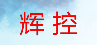 辉控品牌logo