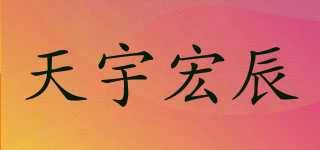 天宇宏辰品牌logo