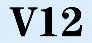 V12品牌logo