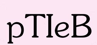 pTIeB品牌logo