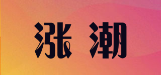 涨潮品牌logo