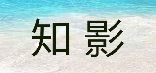 知影品牌logo