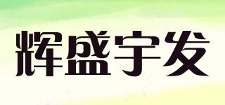 辉盛宇发品牌logo