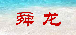 舜龙品牌logo