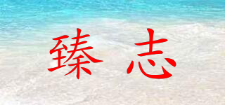 臻志品牌logo
