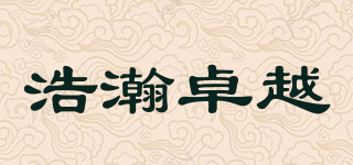 hohem/浩瀚卓越品牌logo
