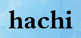 hachi品牌logo