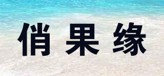 俏果缘品牌logo