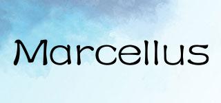 Marcellus品牌logo
