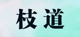 ZMMDAAHO/枝道品牌logo