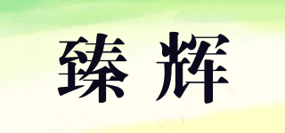 臻辉品牌logo