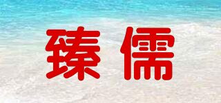 臻儒品牌logo