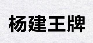 杨建王牌品牌logo