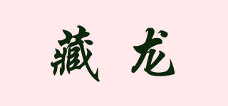 HIDDEN DRAGON/藏龙品牌logo