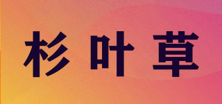 杉叶草品牌logo