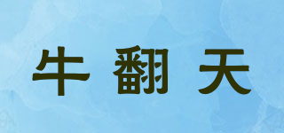 牛翻天品牌logo