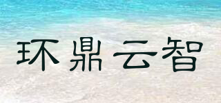 环鼎云智品牌logo