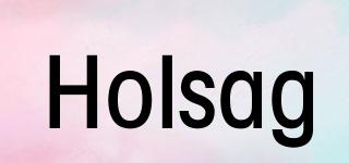 Holsag品牌logo