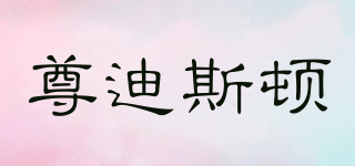 zundsdun/尊迪斯顿品牌logo