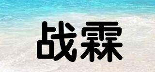 战霖品牌logo