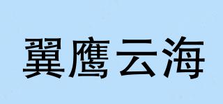 翼鹰云海品牌logo