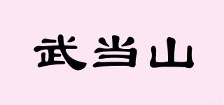 武当山品牌logo