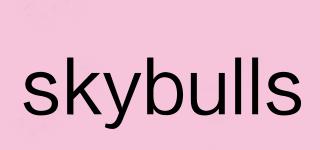 skybulls品牌logo